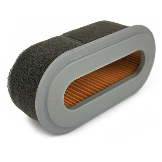 12373 : Air Cleaner Element(Dual) - 6.5hp with Coil