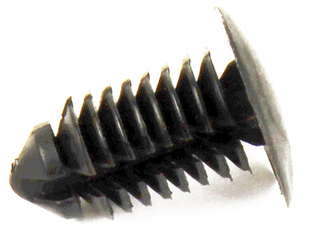 15778 : Plug, Hole Diameter 8mm - Plastic Push