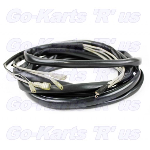 15251 : Harness,  Speaker 36v Xlt