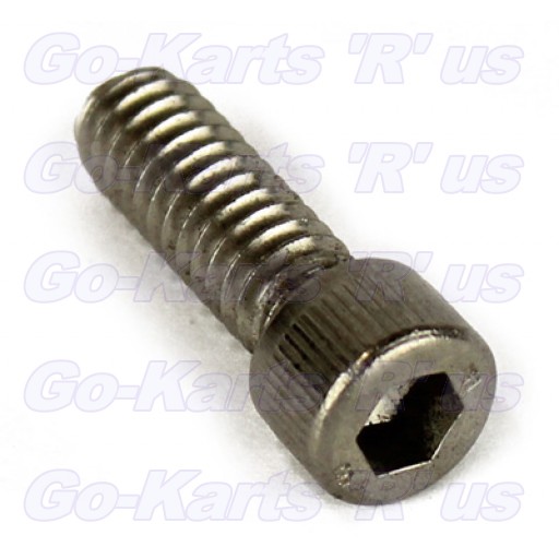 2-50636 : Bolt,  1/4in X 3/4in Socket Head (SS)