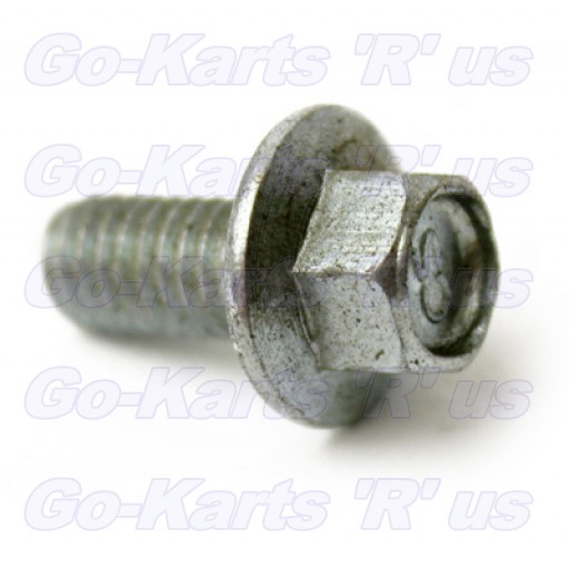 50064 : Bolt Flange Sh 6 X 12