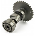 14353 : Camshaft - 150cc