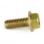 2-20828 : Dana-Fl Head Tap Screw (070HM282)