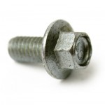 50064 : Bolt Flange Sh 6 X 12