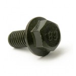 50099 : Bolt Oil Drain