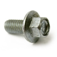 50064 : Bolt Flange Sh 6 X 12