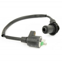 50272 : Ignition Coil Assembly