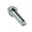 50126 : Bolt Flange Sh 6 X 20